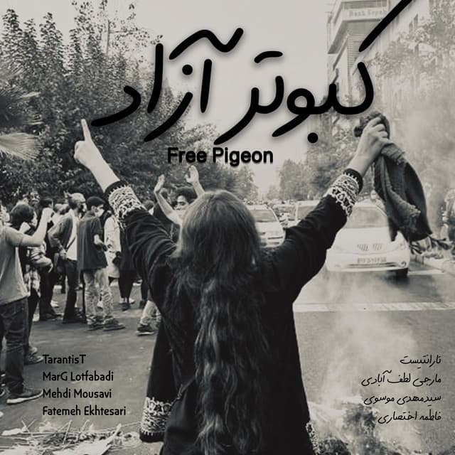 Kabootar e Azad (Free Pigeon)