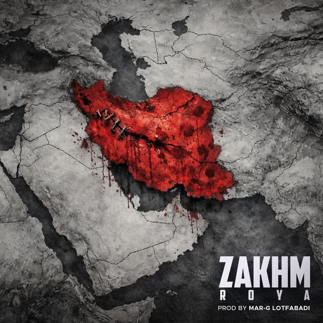 Zakhm
