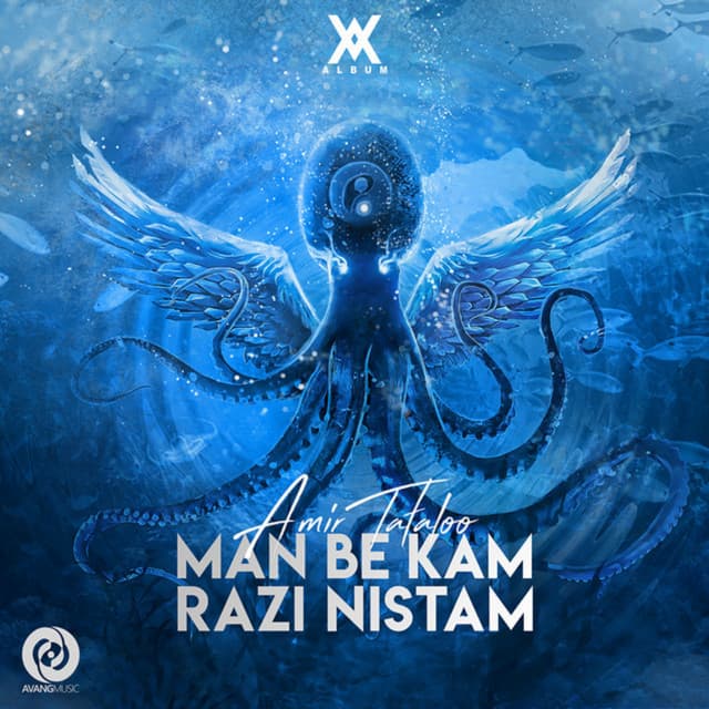 Man Be Kam Razi Nistam by Amir Tataloo