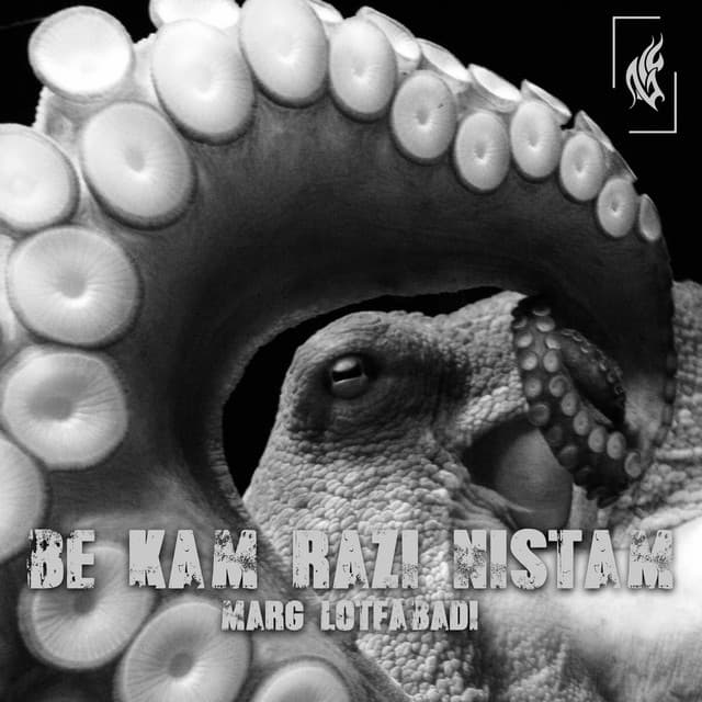 Be kam Razi Nistam