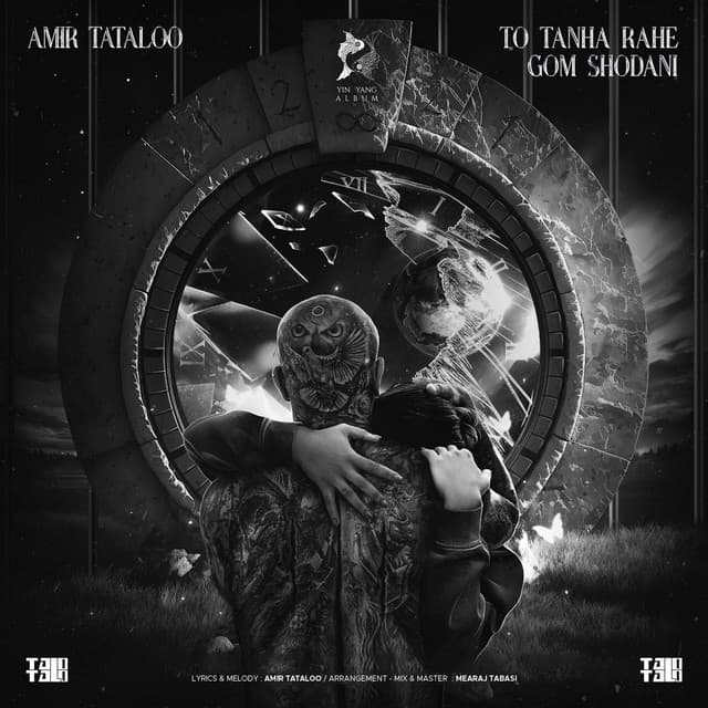 To Tanha Rahe Gom Shodani by Amir Tataloo