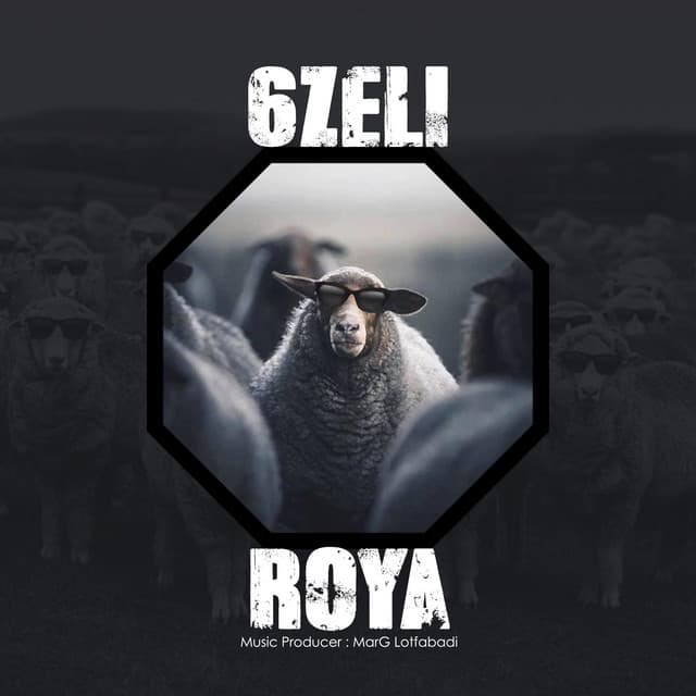 6 Zeli by Roya