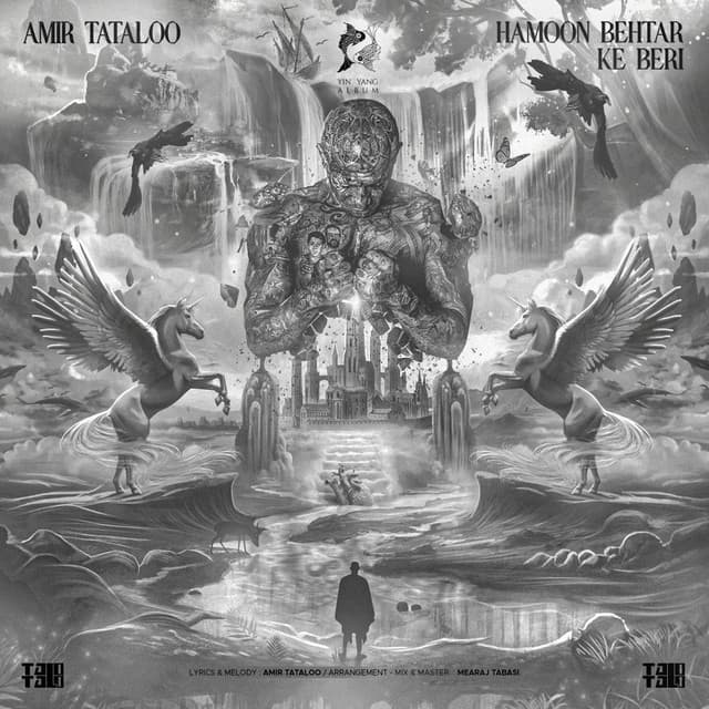 Hamoon Behtar Ke Beri by Amir Tataloo